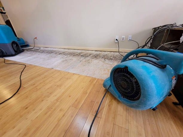 Professional Sewage Cleanup technician working in Alpine, CA